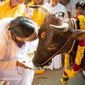 Amma dit toujours que le créateur et la création ne sont pas deux, mais un - le divin existe dans et à travers toute la création_