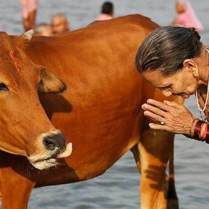download (5)